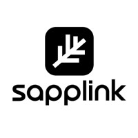 Sapplink logo - Similar company to Dashh