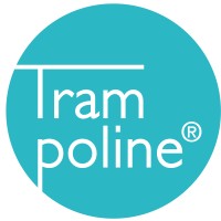 Trampoline Marketing Digital logo - Similar company to Efeito.Digital