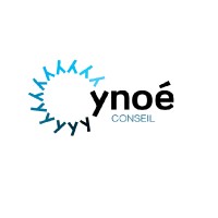 Ynoe Conseil logo - Similar company to Positioning Tech
