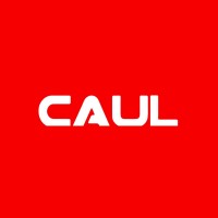 Caul.India logo - Similar company to Itaxdirect.Com