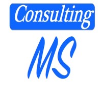 Consulting MS logo - Similar company to T09 Srl