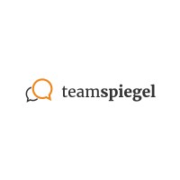 Teamspiegel