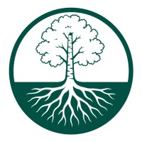 Birchroot Consulting logo - Similar company to Two Five One Consulting