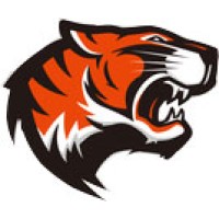 Tigerlink Hardware logo - Similar company to Make It So