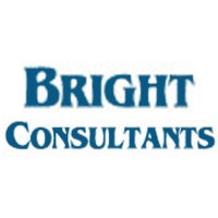 Bright Consultants logo - Similar company to Elcomponics Sales Pvt Ltd