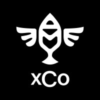 Amy x Co logo - Similar company to In Steil Creative