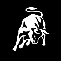 Automobili Lamborghini S.p.A. logo - Similar company to Audi Ag