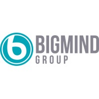 BigMind Group logo - Similar company to Bigmind