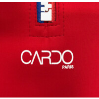 CARDO Paris logo - Similar company to Groupe Audae
