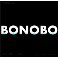 Bonobo Studios logo - Similar company to Shadedbox Animations