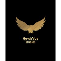 Hawkvue Studios logo - Similar company to Candies Studio