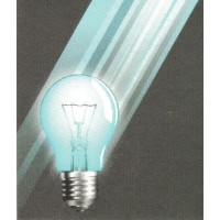 N.O.I. Consulting, Inc.