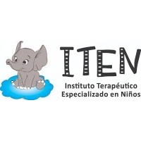 ITEN logo - Similar company to Dp Consultores
