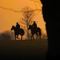 Eclipse Veterinary Software Ltd logo - Similar company to Softvet