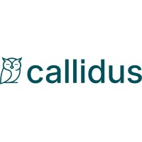 Callidus Steuerberatungsgesellschaft mbH logo - Similar company to Sunrise Value Research Gmbh