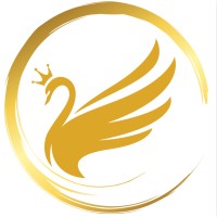 Crown Digital AI logo - Similar company to Crown-Ai