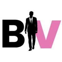 Boutique Vaginette logo - Similar company to Shevibe