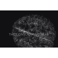 The Consciousness Lab logo - Similar company to Consciousness Elevator