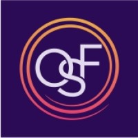 One Solution Finder, LLC logo - Similar company to Kopelevich & Feldsherova, P.C.