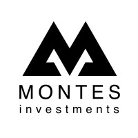 Montes Investments logo - Similar company to Vectrix - Nextstage Early Stage Fund
