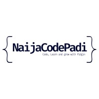 NaijaCodePadi logo - Similar company to Digihub Tech Solutions