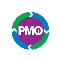 PMO, Program & Project Management Ninjas logo - Similar company to Pmo Advisory