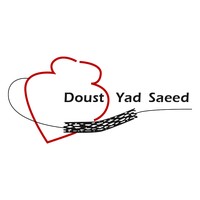 DYS & Co (Doust Yad Saeed) logo - Similar company to ( Padboom ) پادبوم