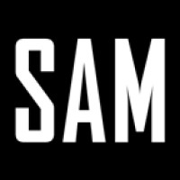 StreetArtMedia logo - Similar company to Mango Studios Ldn