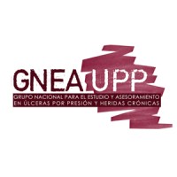 GNEAUPP logo - Similar company to Ewma • European Wound Management Association