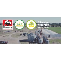 Bullmark logo - Similar company to Lestar Quimica