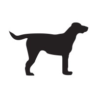 BlkDog logo - Similar company to Catch Engine