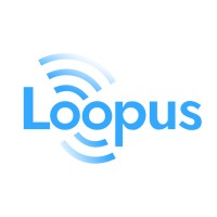Loopus logo - Similar company to Insighti