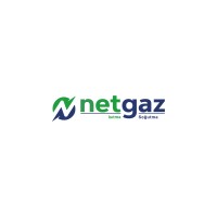 Netgaz logo - Similar company to Alfa-Trade