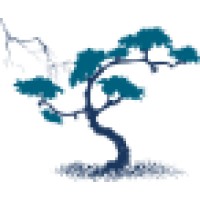 Burning Pine Ltd logo - Similar company to Blazing Pine