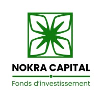 Nokra Capital logo - Similar company to Filiga Advisoring