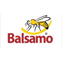 Balsamo Alimentos logo - Similar company to Terranuts