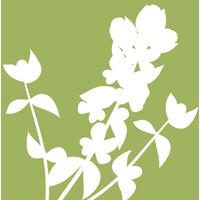 Sage Pediatrics