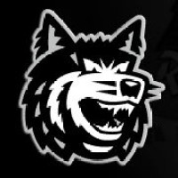 EHC Freiburg logo - Similar company to Dresdner Eislöwen