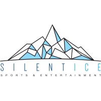Silent Ice Sports & Entertainment logo - Similar company to Onesoccer