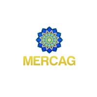 The Middle East Risk and Cultural Advisory Group (MERCAG) logo - Similar company to Tlg Intelligence