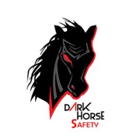 Dark Horse Safety, Inc logo - Similar company to Texas Fabco Solutions