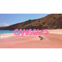 Canggus Concept Store - Sustainable Living logo - Similar company to Agrooted