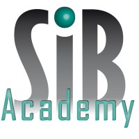 Swiss International Business Academy GmbH (SiBAcademy) logo - Similar company to 250 Words