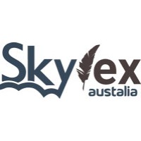 Skylex logo - Similar company to Skylex Software Inc