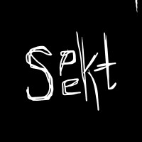 Spekt Studio logo - Similar company to Shadow Productions Mena