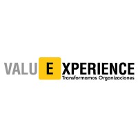 Valuexperience logo - Similar company to Common Consulting Community