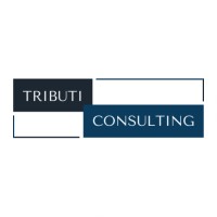 Tributi Consulting logo - Similar company to Geset