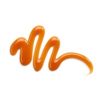 CaraML logo - Similar company to Gebral