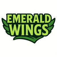 Emerald Wings logo - Similar company to Ridgeview Partners