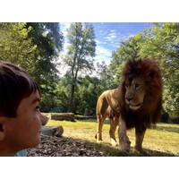 Pets In The Wild logo - Similar company to Quantink